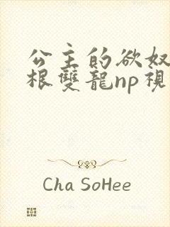 公主的欲奴h四根双龙np视频