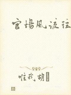 官场风流往事