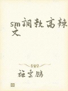 sm调教高辣h文