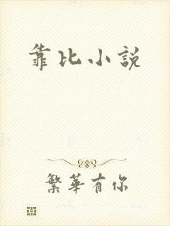 靠比小说