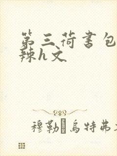 第三荷书包网高辣h文