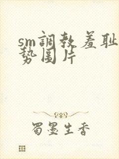 sm调教羞耻姿势图片