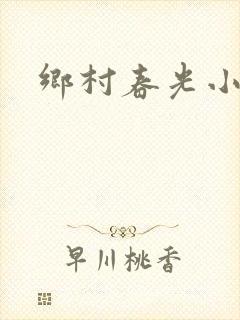 乡村春光小说