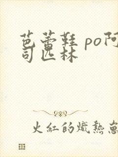 芭蕾鞋 po阿司匹林