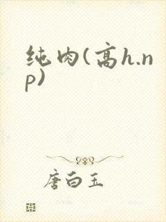 纯肉(高h.np)