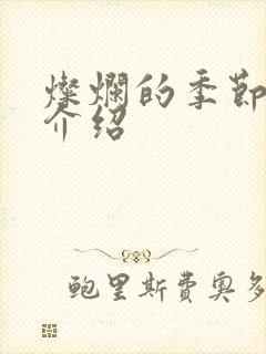 灿烂的季节剧情介绍