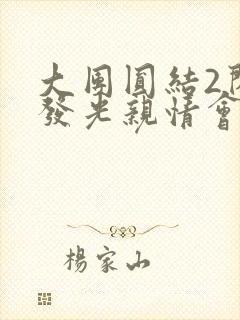 大团圆结2闪闪发光亲情会