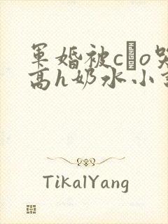 军婚被cαo哭高h奶水小说