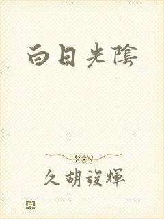 白日光阴