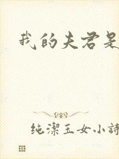 我的夫君是冥王