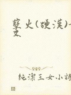 孽火(硬汉)今又