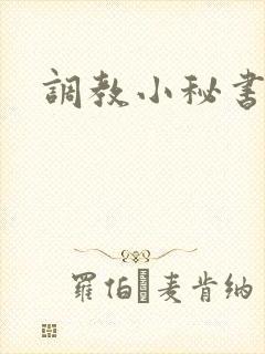 调教小秘书