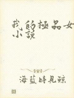 我的极品女老师小说