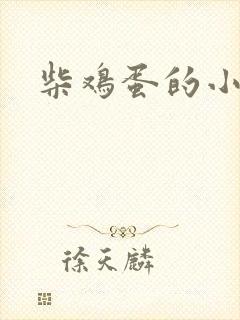 柴鸡蛋的小说