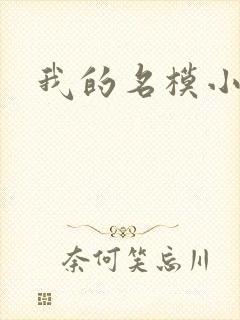 我的名模小娇妻