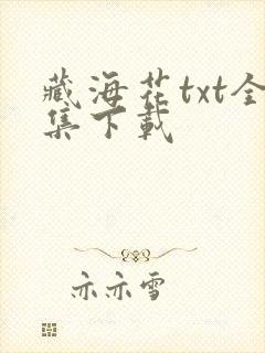 藏海花txt全集下载