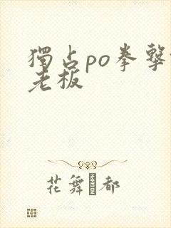 独占po拳击馆老板