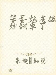 笨蛋炮灰总被爆炒翻车了