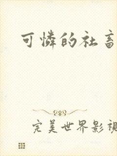 可怜的社畜小说