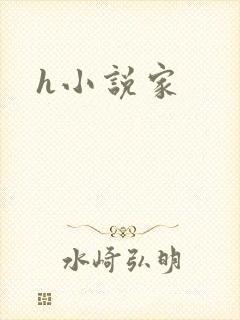 h小说家