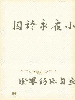 囚于永夜小说
