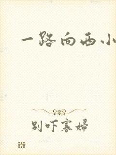 一路向西小说