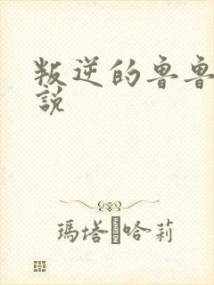 叛逆的鲁鲁修小说