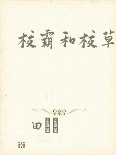校霸和校草