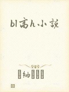 bl高h小说