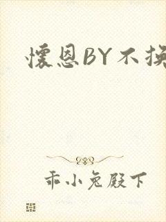怀恩BY不换
