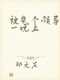 被几个领导玩弄一晚上