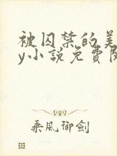 被囚禁的美人by小说免费阅读