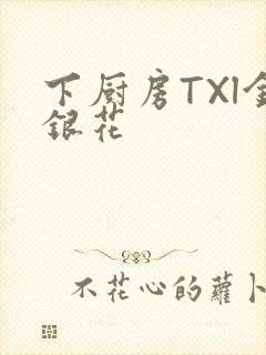 下厨房TXl金银花