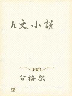 h文小说