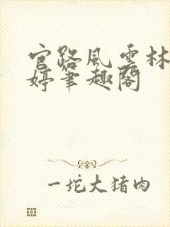 官路风云林海姜婷笔趣阁