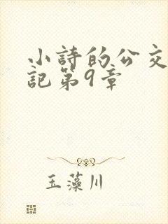 小诗的公交车日记第9章