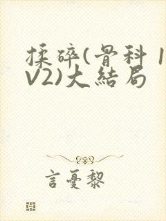 揉碎(骨科 1V2)大结局