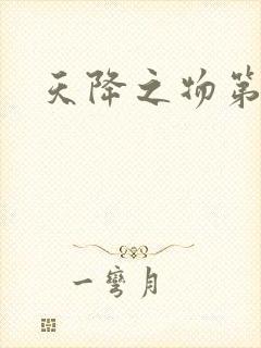 天降之物第一季