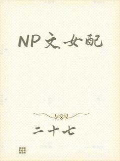NP文女配