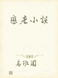 恋老小说