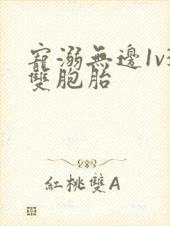 宠溺无边1v3双胞胎