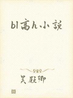 bl高h小说