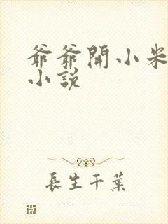 爷爷开小米的包小说
