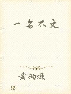 一名不文