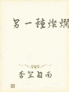 另一种灿烂生活