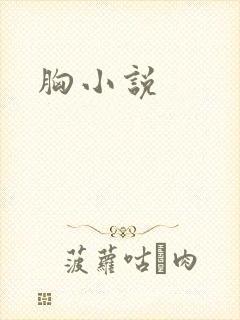 胸小说