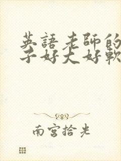 英语老师的小兔子好大好软水