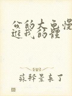 公的大龟慢慢挺进我的体