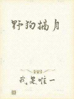 野狗摘月