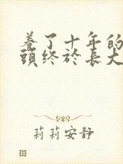 养了十年的小丫头终于长大了